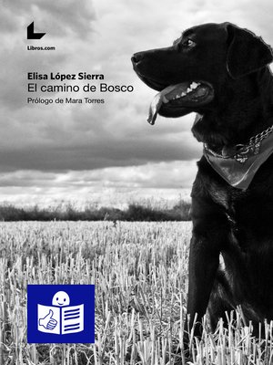 cover image of El camino de Bosco